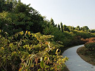 Travel to the Commercial Hub of Mohali