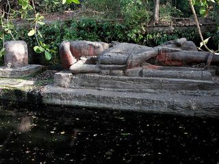 Madhya Pradesh Tourism – The Wildlife Town of Bandhavgarh