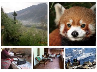 Oneindia Coupons: Top 5 Free Travel Coupons Of This Week