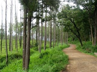 10 Fantastic Road Trips From Bangalore You Should Never Miss!