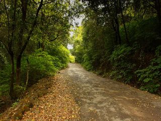 8 Road Trips From Mumbai For The Traveller In You!