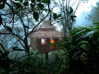 Best Tree House Resorts in Kerala For the 'Junglee' in You!
