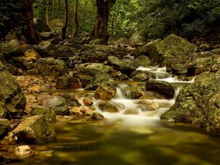 Amazing Tada Falls Trek