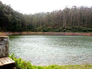 Tiger Hills in Ooty- a perfect destination for nature lovers