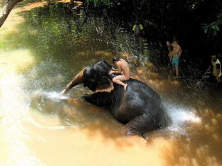 5 Top Offbeat Things to do in Goa!