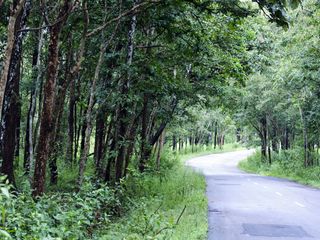 7 Simple Travel Tips For Road Trips