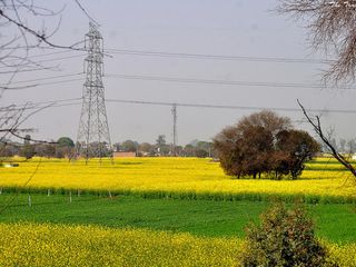 Bhindawas Wildlife Sanctuary: A Day's Trip From Delhi