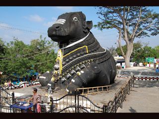 Have You Visited this Nandi in Chamundi Hills?