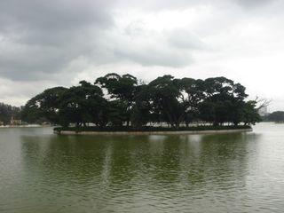 A Photo Tour to Ulsoor Lake in Bengaluru!