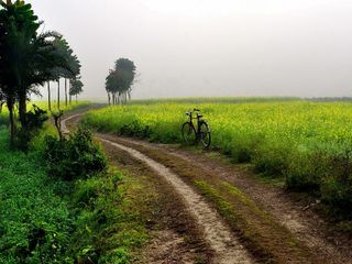 Things You Should Never Do in India