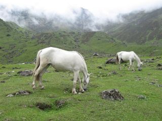 Beauty meets Spirituality! Travel to the holy town of Kedarnath