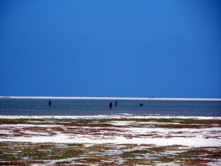 Travel Guide To Dhanushkodi – The Untarnished Beach