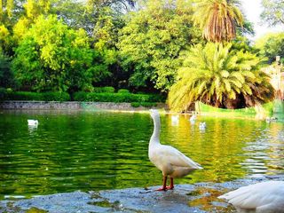 Get To Know More About Lodhi Gardens