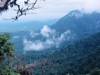 Narasimha Parvata Trek In Agumbe