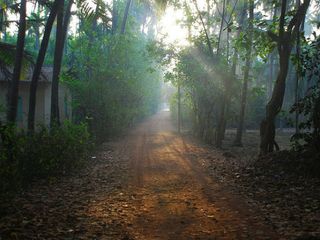 A Guide To The Beach Town Of Diveagar