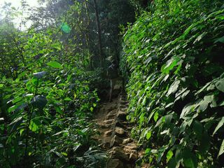 Paithalmala – The Mesmerizing Hill Station In Kannur!