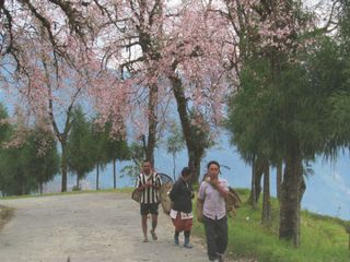 The Tourist Town Of Ravangla In Sikkim