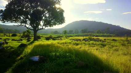 7 Family-friendly Treks You Must Try