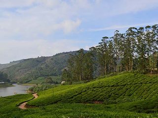 Chennai To Meghamalai – Get Immersed In The Beauty Of Lush Greenery