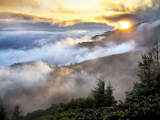 Top 5 Greenest States In India