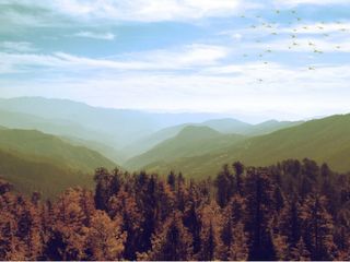 Sind Valley In Jammu And Kashmir – An Exceptional Carnival Of Nature