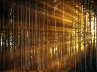 Visakhapatnam To Maredumilli – A Trip That Will Awaken Your Traveller Spirit