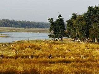 The Beautiful District Of Chhindwara And Its Astounding Tourist Spots