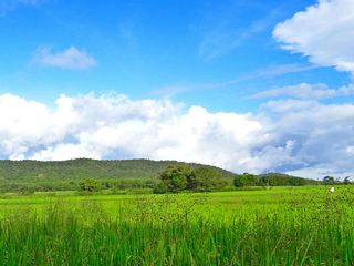 The Historic District Of Bargarh And Its Beautiful Attractions