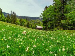 5 Offbeat Places In Meghalaya That Will Compel You To Pack Your Bags