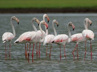 Visit the mesmerzing land of Medak,Telangana