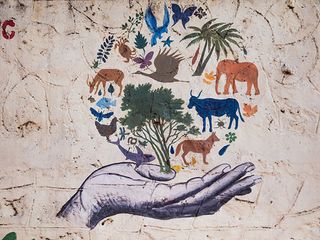 Travel To The 10 Cleanest Cities Of India In 2019