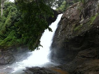 Soochippara Falls In Wayanad: A Complete Travel Guide