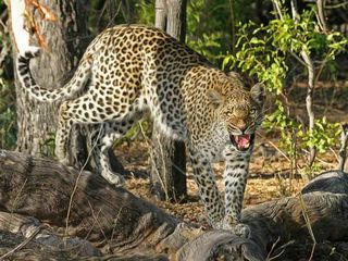 10 Best Places To Visit In Madhya Pradesh In September