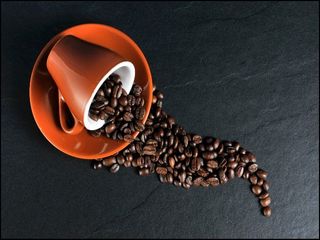 International Coffee Day 2021: 5 Coffee Plantation Places In India Every Coffee Lover Must Visit