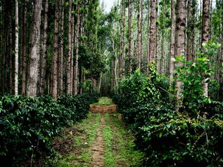 Best Summer Vacations In Karnataka