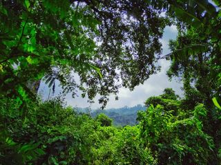 Top Spots For A Summer Vacation In Tripura