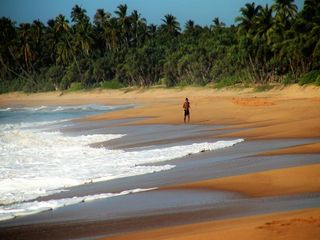 Beaches Near Bangalore To Have a Perfect Vacation