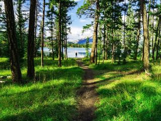 Tahoe Rim Trail: A Scenic Walk In The USA