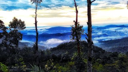 What Should Adventure Buffs Know About Ponmudi, A Less Crowded Hill Station In Kerala?