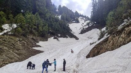 Alpine Grasslands of Jammu-Kashmir's Bhaderwah: A Picnicker's Paradise