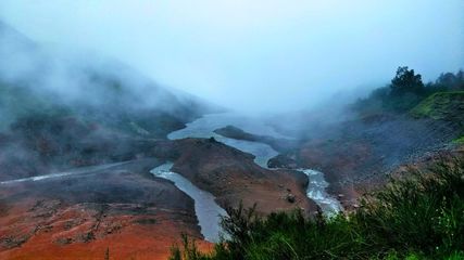Ooty Shivers as Temperature Hits Near 0 °C, Taking TM Travelers by Surprise!