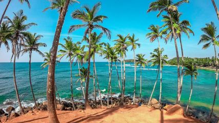 Sri Lanka Simplifies e-Visa Process with New Online Application Portal; Know How to Apply