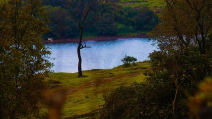 Discover The Enchanting Beauty Of Lonavala Lake In The Monsoon