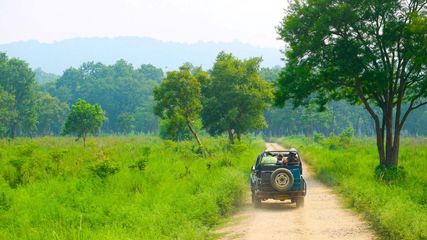 Wilderness Retreat: IRCTC's JUNGLENAMA Family Tour Package to Jim Corbett and Kyari Village