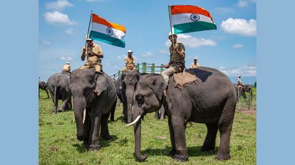 Assam's Manas National Park Reopens on World Tourism Day, September 27