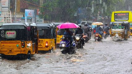 Heavy Rain Forecast in Chennai: Schools Closed as IMD Issues Yellow Alert for Tamil Nadu