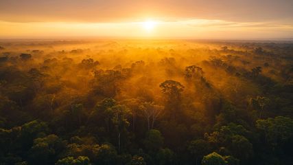 Discover Hidden Sunrise Gems In South India For Nature Lovers