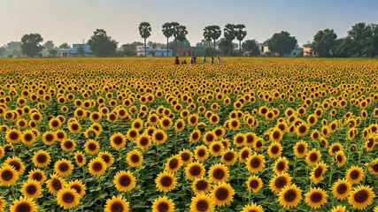 Floral Paradise of Karnataka – A Scenic Stop for Nature Lovers Traveling to Ooty and Wayanad