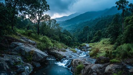 Discover 5 Less-Crowded Hill Stations Near Bangalore for a Peaceful Getaway