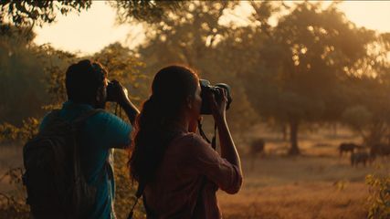 Discover the Top 5 Wildlife Safaris Near Hyderabad for Bangalore Adventure Lovers